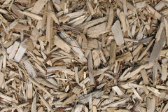 biomass boilers Flore